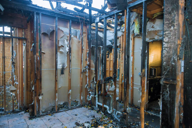 Professional Odor Removal technician working in Gibson Island, MD