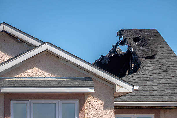 Top rated local Odor Removal specialists in Gibson Island, MD
